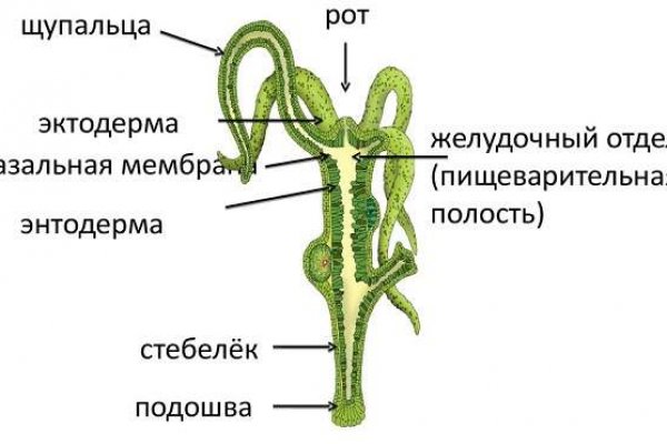 Кракен 12 сайт