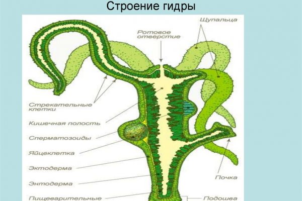 Kraken tor зеркало